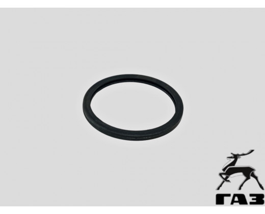 Кольцо уплотнительное термостата ЗМЗ 4216, Evotech № 4216-1306155-01 | ГАЗ