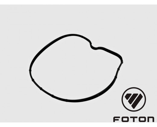 Прокладка водяног насоса Газель Next, NN G21 № PM40006084 | Foton