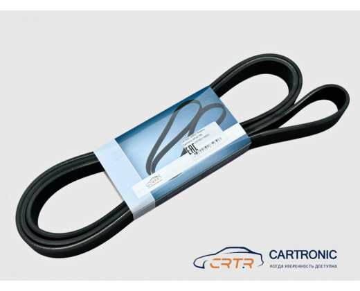 Ремень Cummins 8PK2166 № 5312821 | CARTRONIC