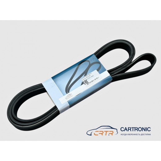 Ремень Cummins 8PK2166 № 5312821 | CARTRONIC