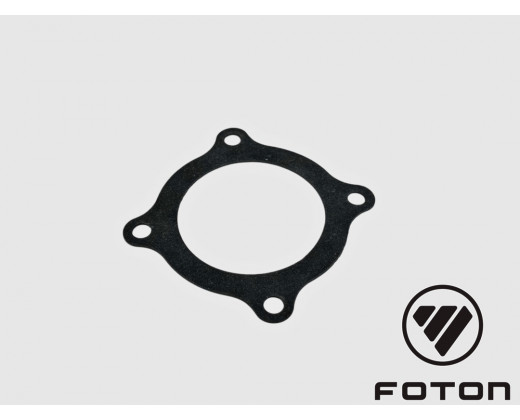 Прокладка дросселя G21A (E-5) ГАЗель Next, ГАЗель NN, Соболь NN № PM40005041 | Foton