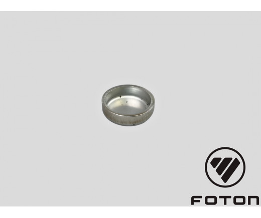 Заглушка БЦ G21A ГАЗель Next, ГАЗель NN, Соболь NN № PP10005337 | Foton