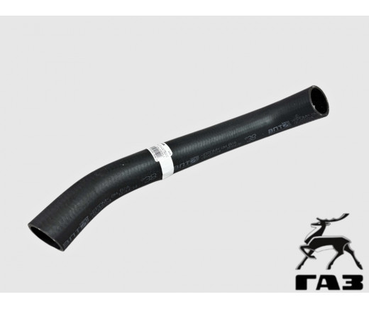 Патрубок радиатора Газель Next дв. УМЗ-А274 Evotech, нижний № А21R23-1303025-20 | ГАЗ